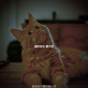 温和放松的猫梦想