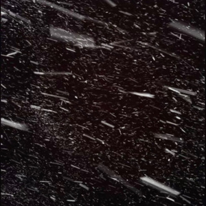 等我的隐喻被你读懂