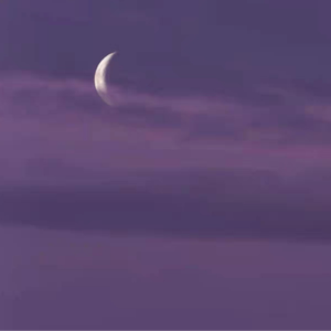 【Free】The trajectory