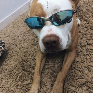 MOVIMENTAÇÃO DOS CRIAS 140 BPM V2