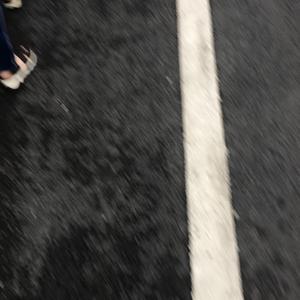 枫叶