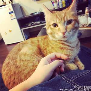 一个人（Cover ）