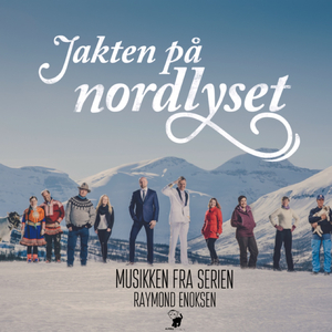 Sledetur Og Nordlysdans