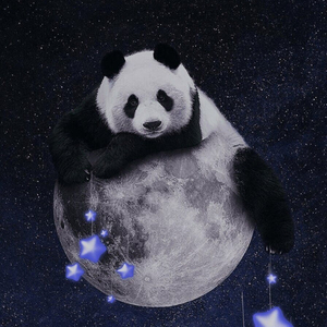 一半天意一半人为