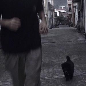 春风十里（不插电版）