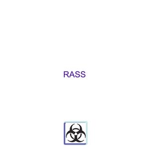 Rass (feat. Ddark)