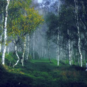 Mausoleum of my Afflictions