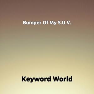 Bumper Of My S.U.V.