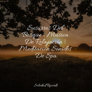 Dulces Sueños De Domingo