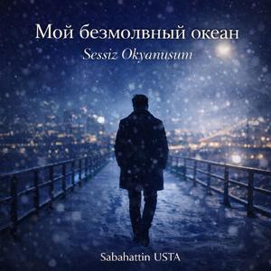 Мой безмолвный океан