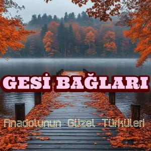 GESİ BAĞLARI