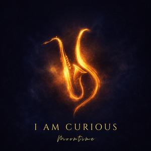 I Am Curious (feat. Vellúa)