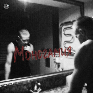 Моногамия