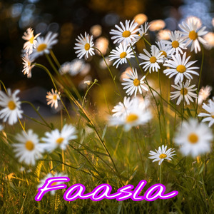 Faasla