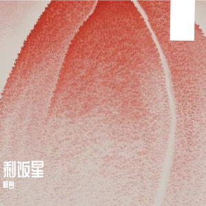 剩饭星