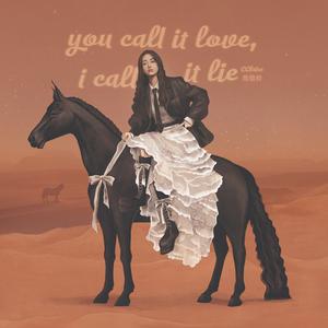 you call it love, i call it lie