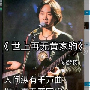 世上再无黄家驹 (DJ版)