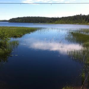 En sökare