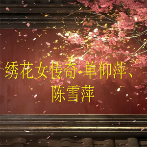 绣花女传奇-6