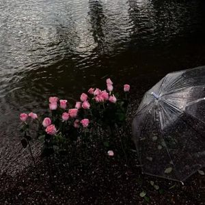 我想和你赏最美的风景~