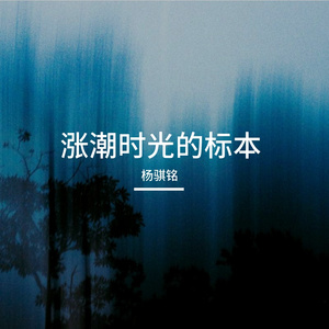 涨潮时光的标本