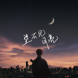 望不见月亮