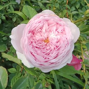 失去的美好（纯音乐）