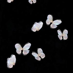 我在昨天的梦里又看见了你