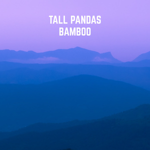 Bamboo