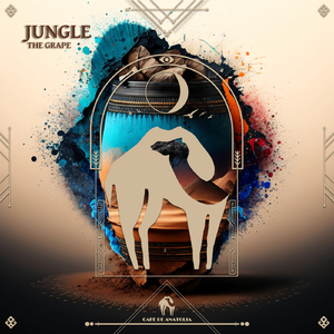 Jungle (Extended Mix)