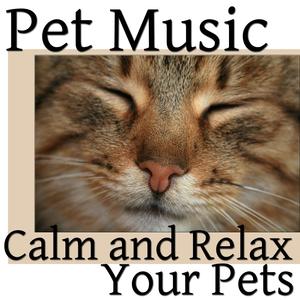 Sonography for Pets
