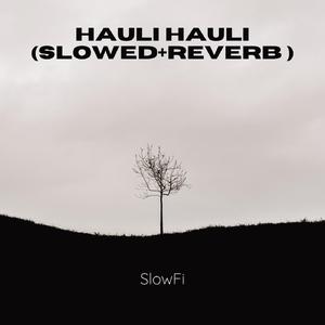 Hauli Hauli (Slowed+Reverb)