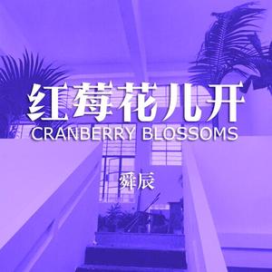 红莓花儿开（温柔男声）