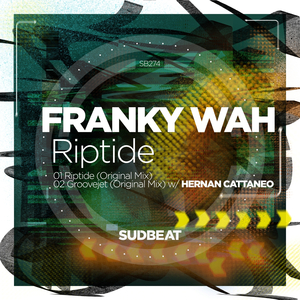 Riptide (Original Mix)