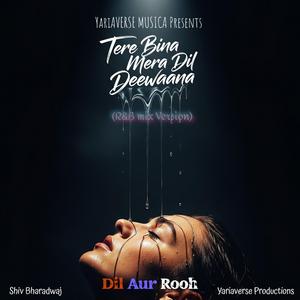 Tere Bina Mera Dil Deewaana (R&B)