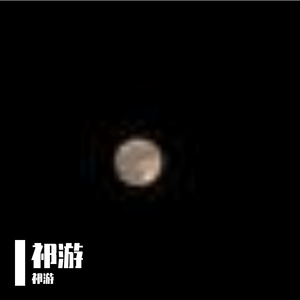 花瓣轻舞的春日乐章