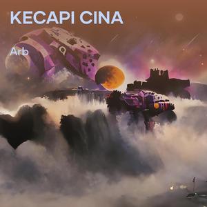 Kecapi Cina