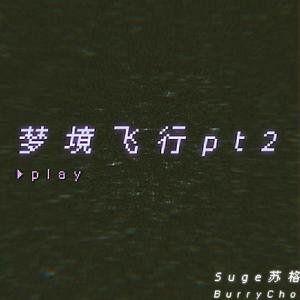 梦境飞行 pt2