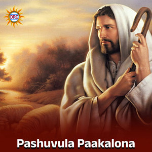 Pashuvula Paakalona