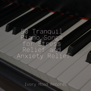 Reflections in Calm Waters