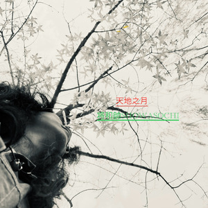 天地之月