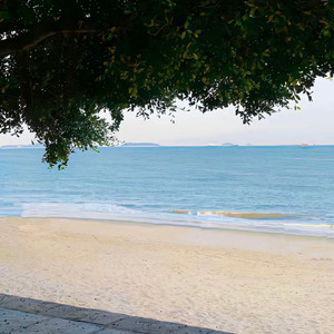 在结局收尾之前让我再见你最后一面