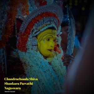 Chandrachooda Shiva Shankra Paravathi Nagaswara (Live)