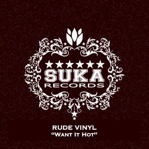 Want It Hot (Dany Cohiba Remix)