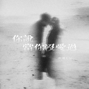 你说当你没爱过