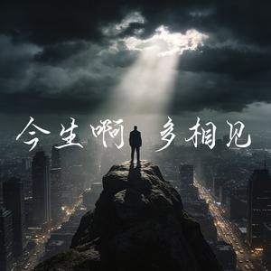 今生啊  多相见（烟嗓版)