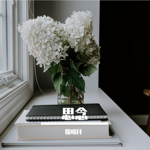 思念-整曲 伴奏