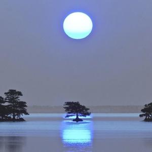 Olvidarme (Easy To Love) (feat. Mauvi)