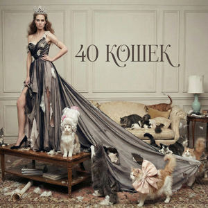 40 кошек