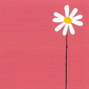 Daisy Days